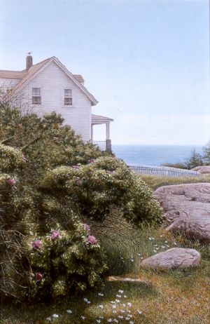 Gull's View