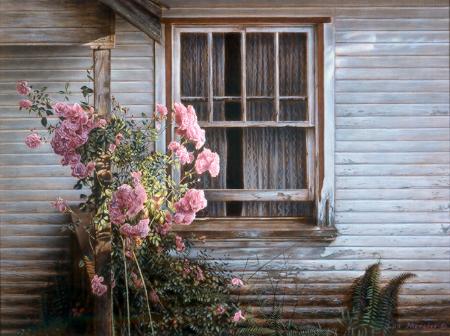 Summer Roses